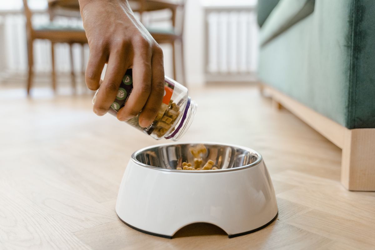 How Much to Feed Your Dog: Complete Portion Guide by Age, Weight, and Breed 5 Person pouring dry dog food from a container into a white bowl on a wooden floor